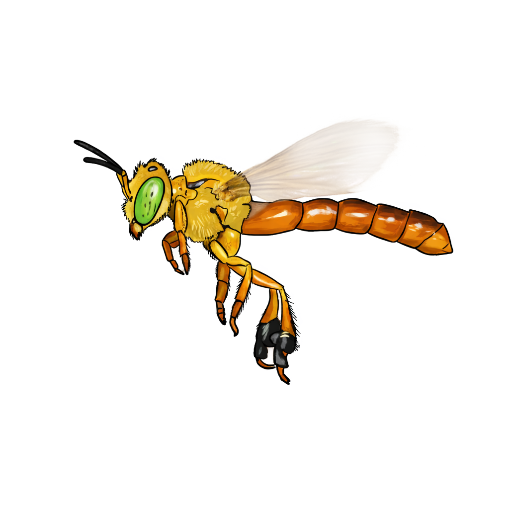 Abelha Nativa Bee